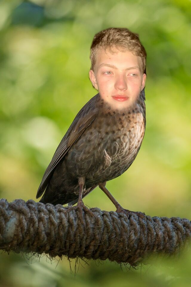 pek-rka-obecn-necyklopedie