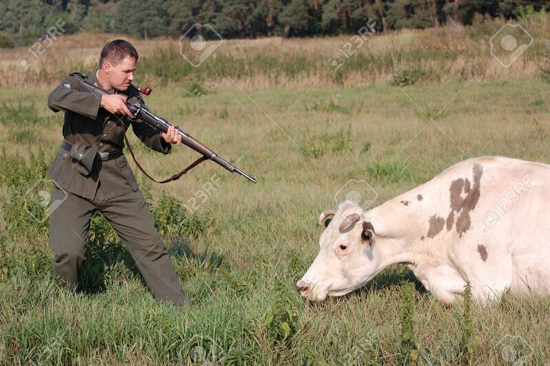 Soubor:7810611-German-soldier-wants-to-kill-the-cow-WW2-reenacting--Stock-Photo.jpg