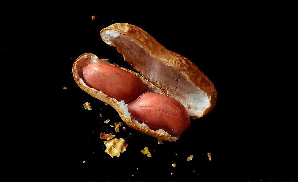 Soubor:Peanut.jpg