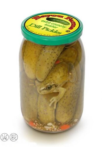 Žabokurka.jpg
