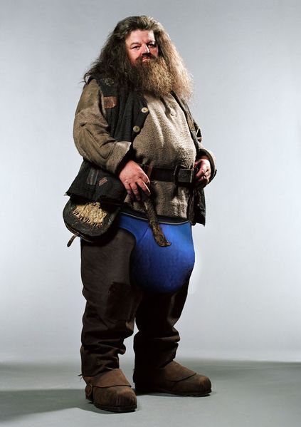 Soubor:Hagrid.jpg