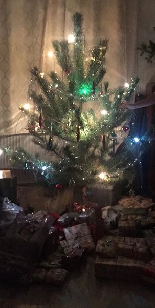 Soubor:Vánoční strom.jpg