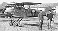 Albatros D.III(Oef.) Brumowski.jpg