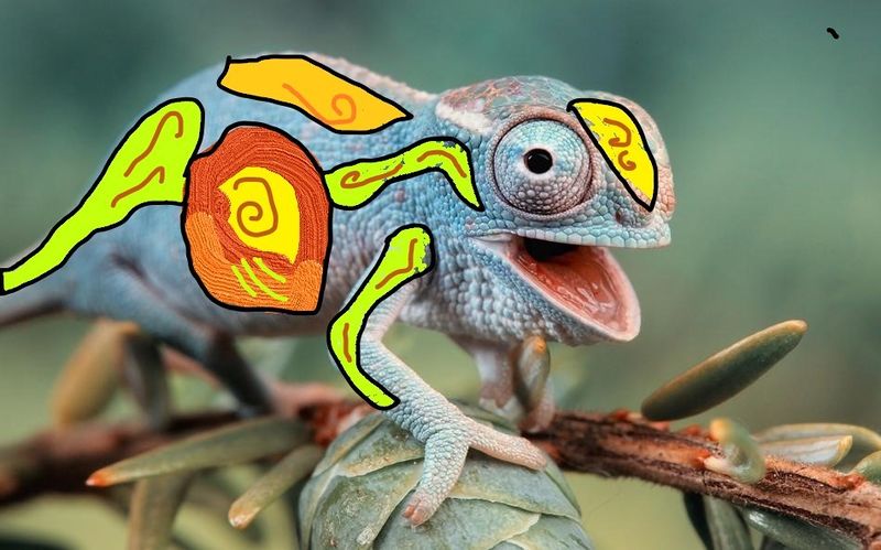 Soubor:Chameleon .jpg