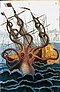 Colossal octopus by Pierre Denys de Montfort.jpg
