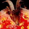 Satanská polévka z kozlí hlavy je vyhlášenou specialitou.
