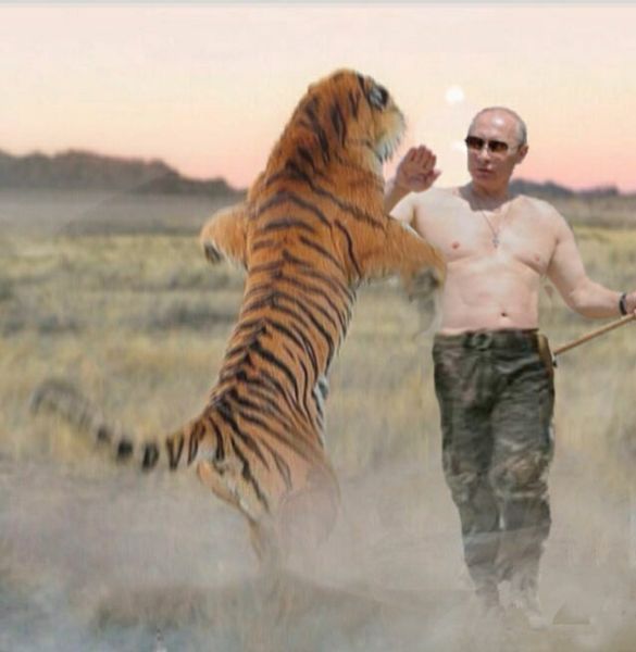 Soubor:Putin ukazuje sibiřskému tygru velikost svého přirození.jpg