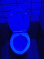 Modrý záchod také vypadá dobře.