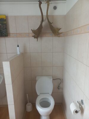 Ukázka nově vyzdobených školních záchodků
