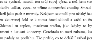 V Garamondu vypadá jakýkoliv text vznosně