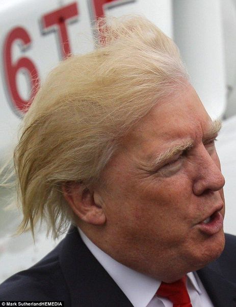 Soubor:Donald Trump a jeho vlasy 2.jpeg