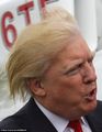 Donald Trump a jeho vlasy 2.jpeg