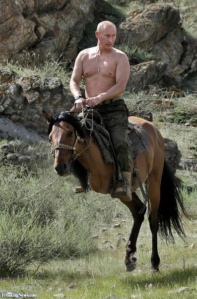 Soubor:Putin na dvounohém koni.jpg
