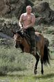 Putin na dvounohém koni.jpg
