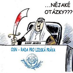 Radě pro lidská práva OSN předsedá Saúdská Arábie