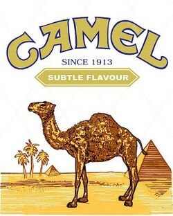 Camelky.jpg