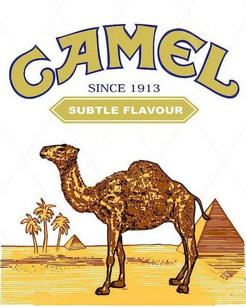 Soubor:Camelky.jpg