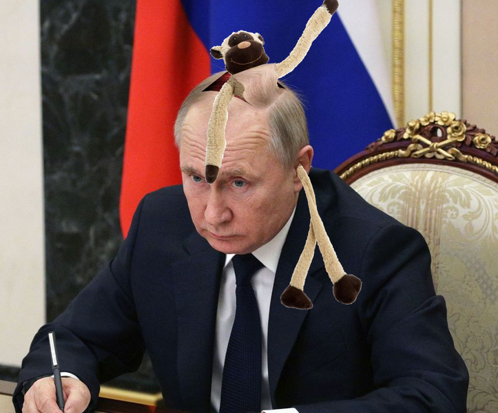 Soubor:Putin s vertochem.png