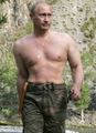 Putin v divočině.jpg