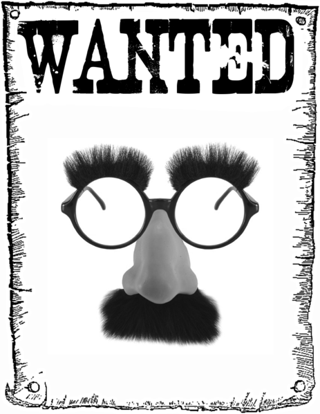 Soubor:Wanted za odmenu (knir).png