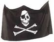 Pirátský stát – vlajka