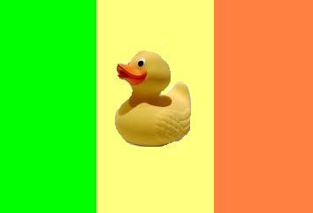 Duck flag.jpg