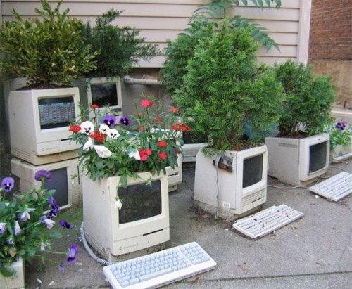 File:Internet garden.jpg