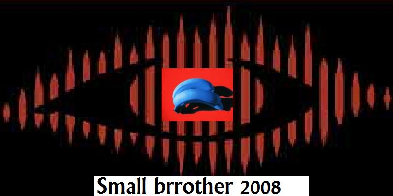 Small Brrother.jpg