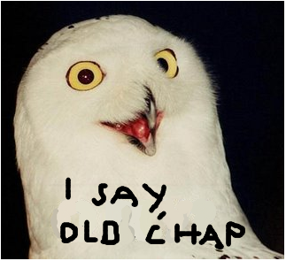 Owlchap.png