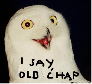 File:Owlchap.png