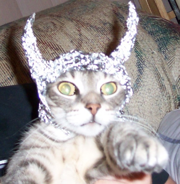 File:Tin foil cat.jpg