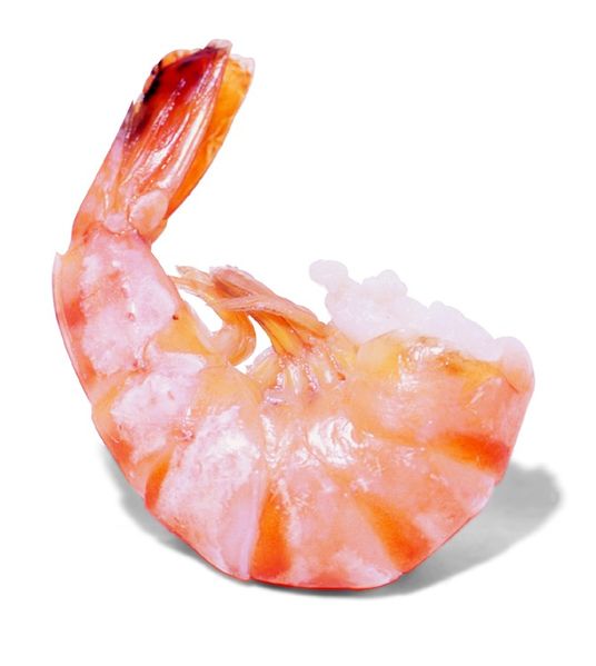 File:White Shrimp.jpg