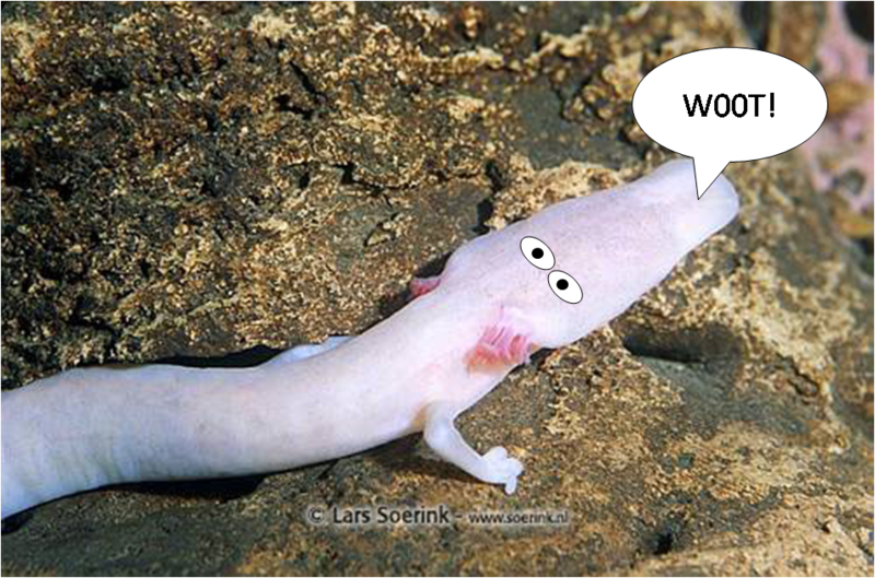 File:Axolotl.png