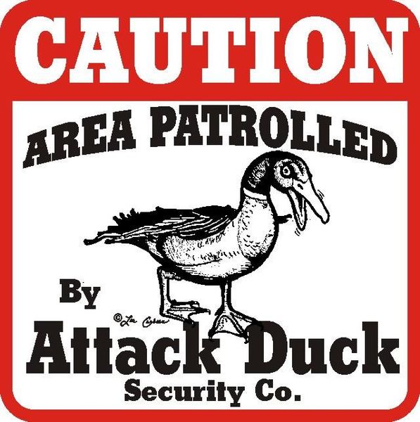 File:Duck patrol.JPG