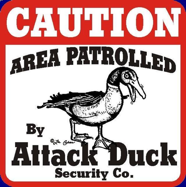 File:Duck patrol2.JPG