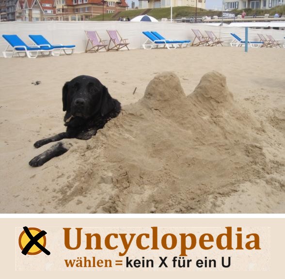 Datei:Hund mit Höckern.jpg