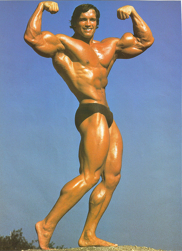 Datei:Arnold Schwarzenegger.jpg