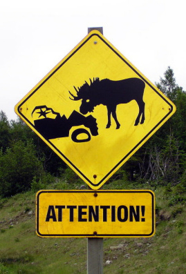 Datei:Newfoundland Moose Sign.jpg