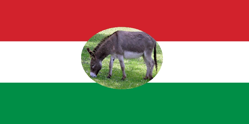 Datei:Ungarn25000.jpg