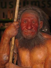 Neandertaler reconst.jpg