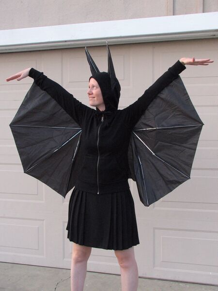 Datei:Bat costume - 12-9580.jpg