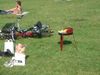 Grillen1.JPG