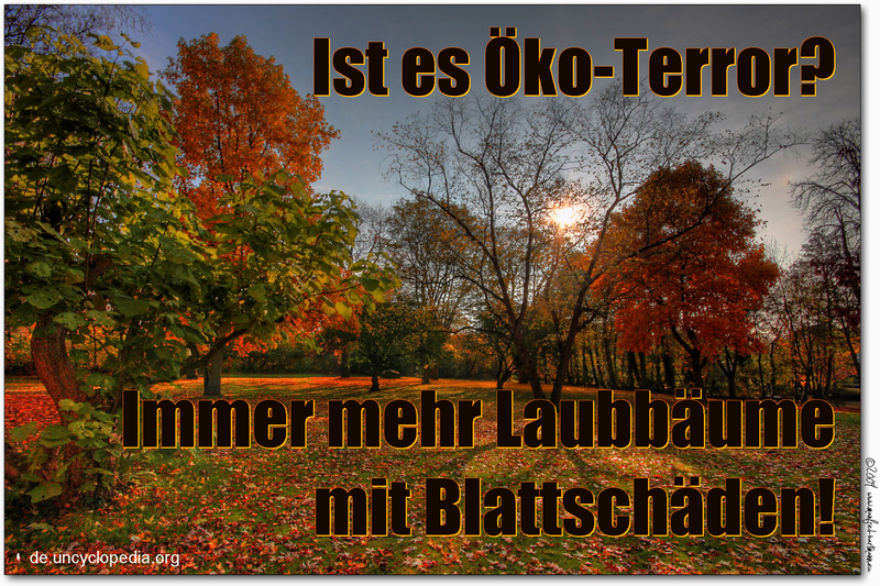 Datei:Herbstlaub t.png