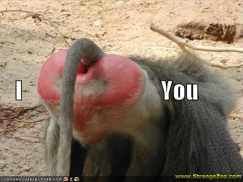 File:Funny-pictures-baboon-butt-heart.jpg