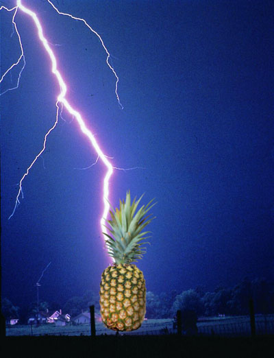 File:Lightning-with-pineapple.jpg