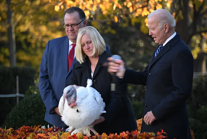 File:Biden turkey pardon 2021.png