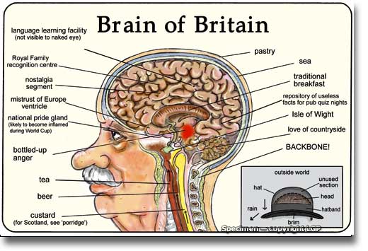 File:Brain of britain.jpg