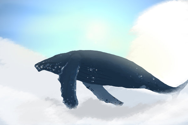 File:Flying Whale.jpg