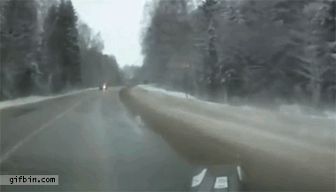 File:1336066077 moose gets hit by a car.gif