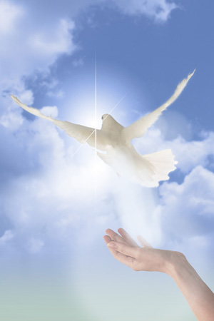 File:Reiki peaceful spirit dove.jpg